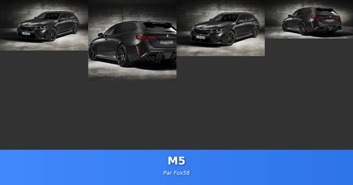 M5 - Galerie de Fox58