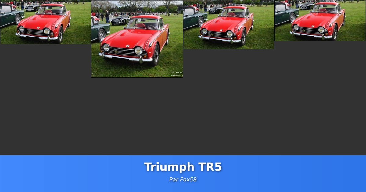 Triumph TR5 - Galerie de Fox58