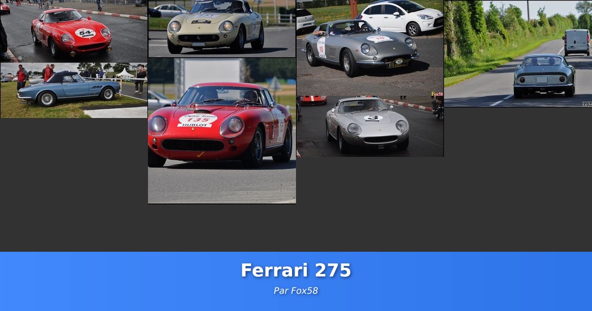 Ferrari 275 - Galerie de Fox58