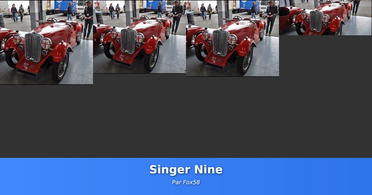 Singer Nine - Galerie de Fox58