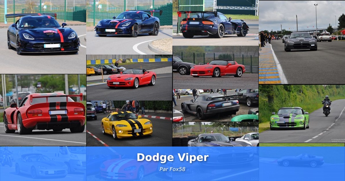 Dodge Viper - Galerie de Fox58