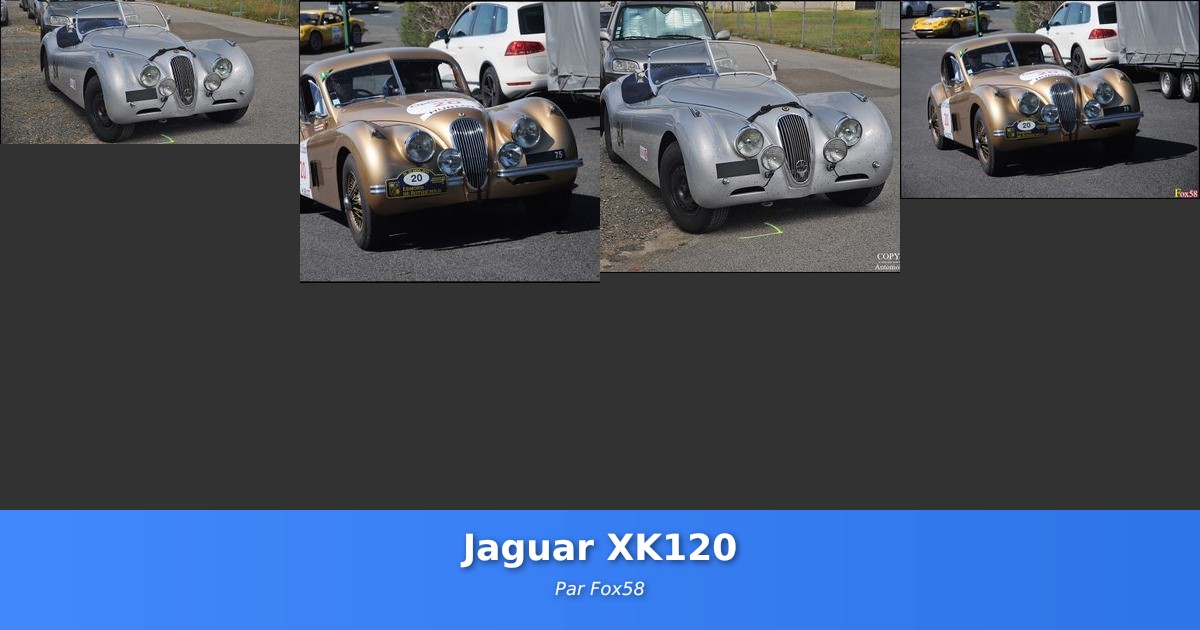 Jaguar XK120 - Galerie de Fox58