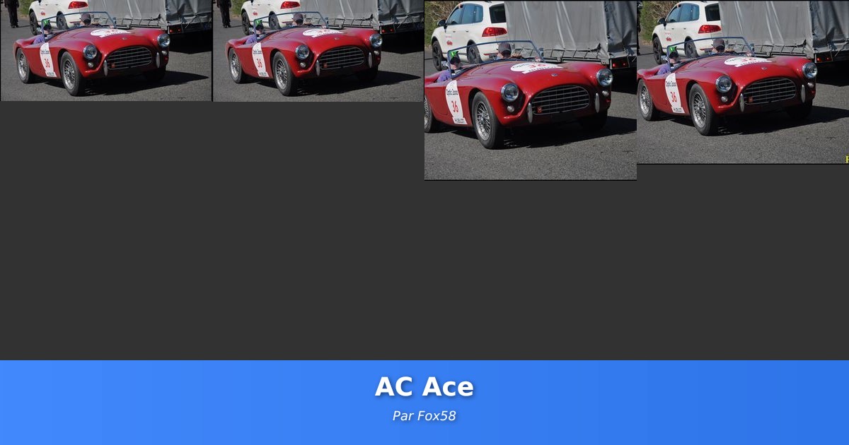 AC Ace - Galerie de Fox58
