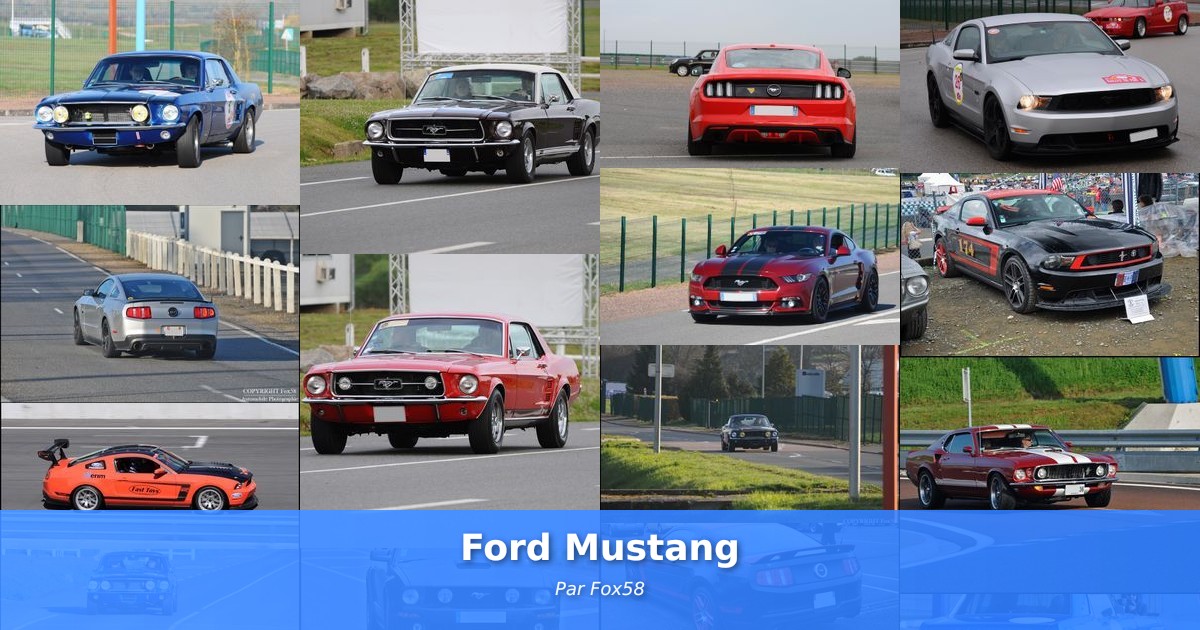 Ford Mustang - Galerie de Fox58