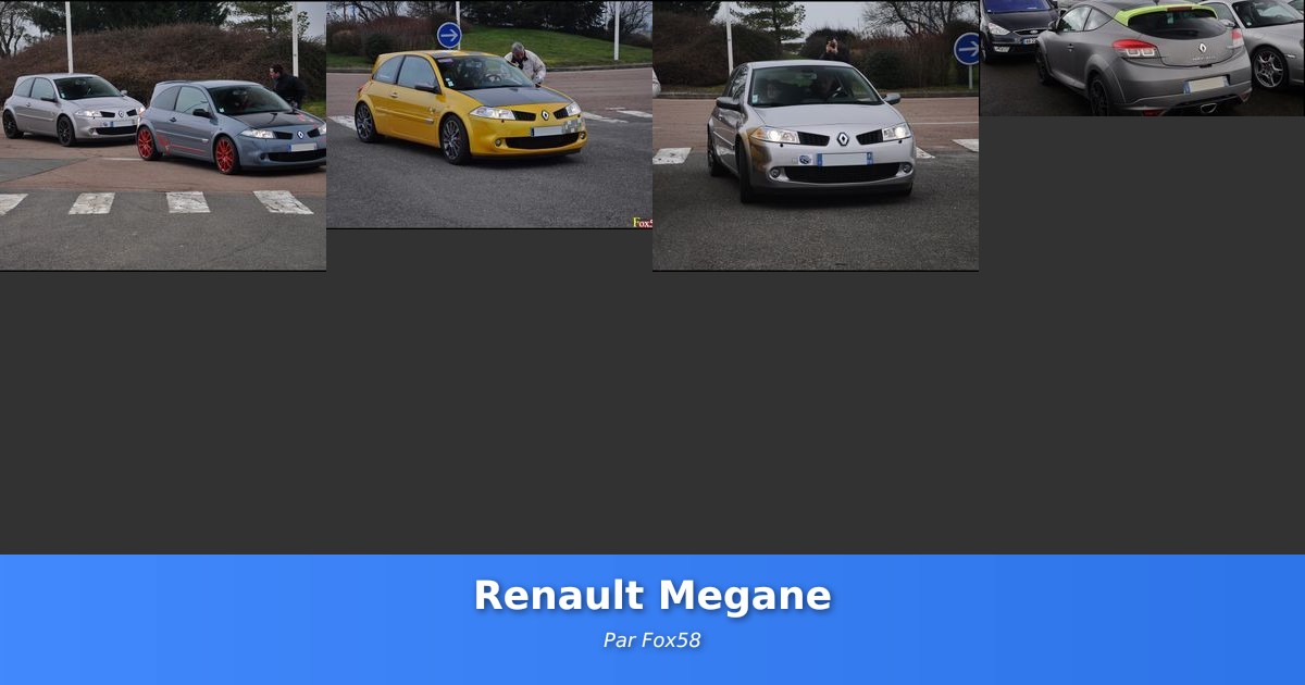 Renault Megane - Galerie de Fox58
