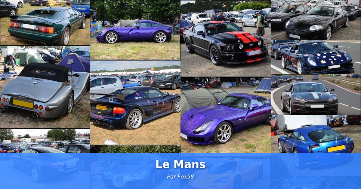 Le Mans - Galerie de Fox58