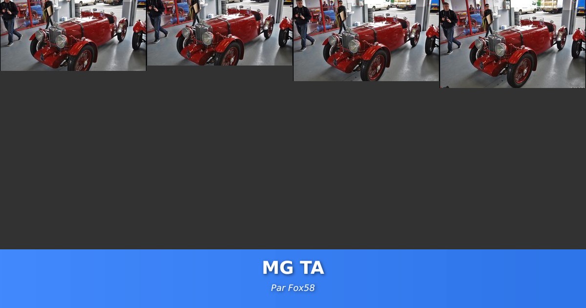 MG TA - Galerie de Fox58