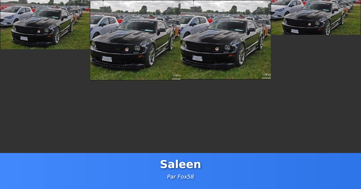 Saleen - Galerie de Fox58