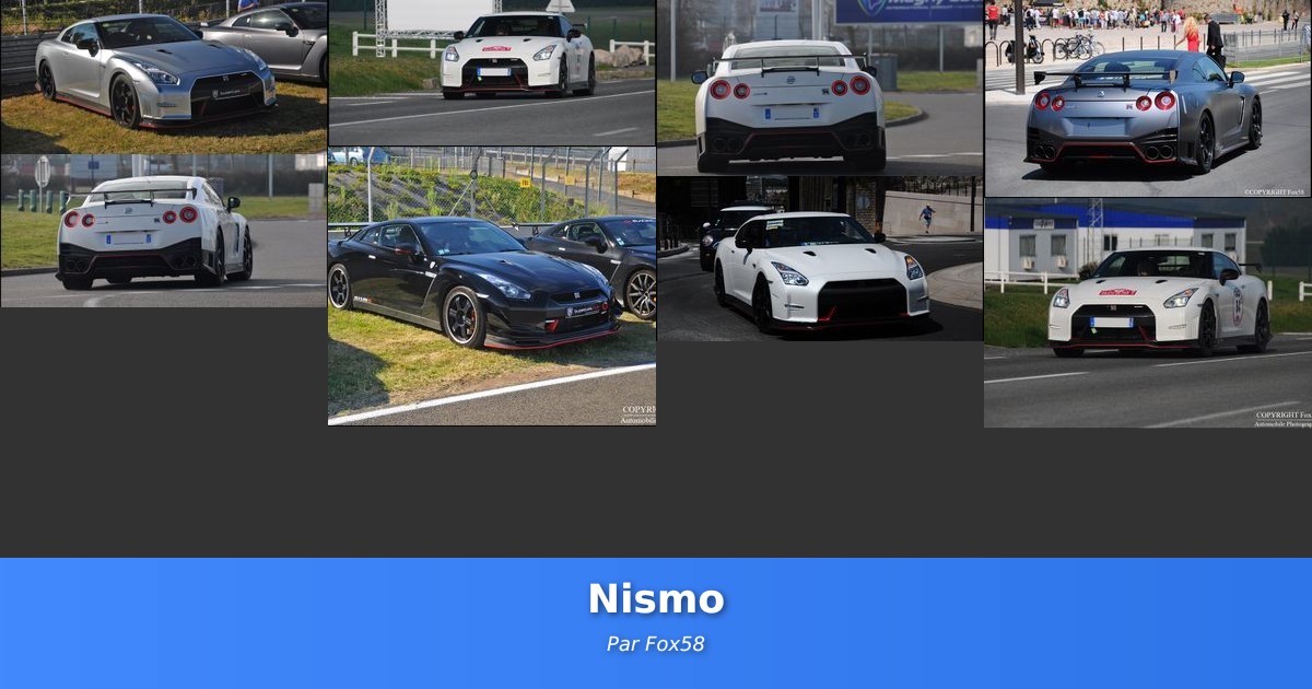 Nismo - Galerie de Fox58