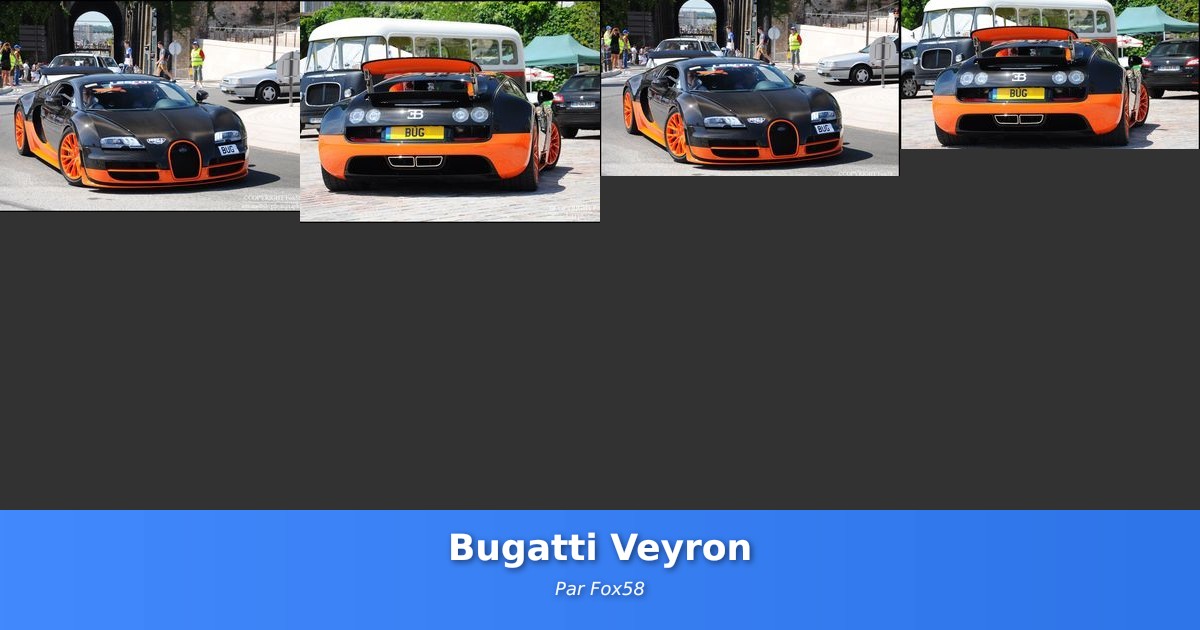 Bugatti Veyron - Galerie de Fox58