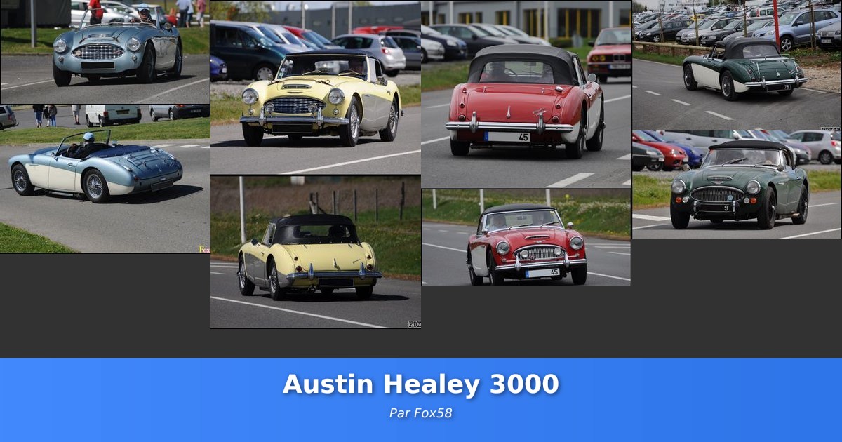 Austin Healey 3000 - Galerie de Fox58