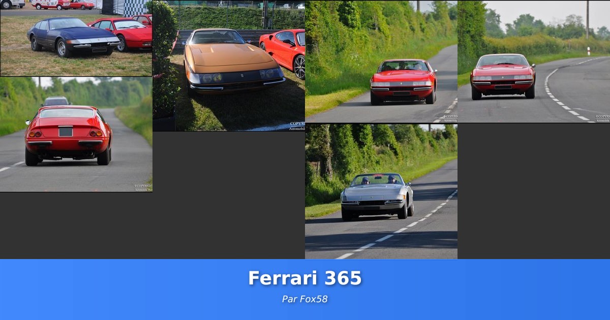Ferrari 365 - Galerie de Fox58
