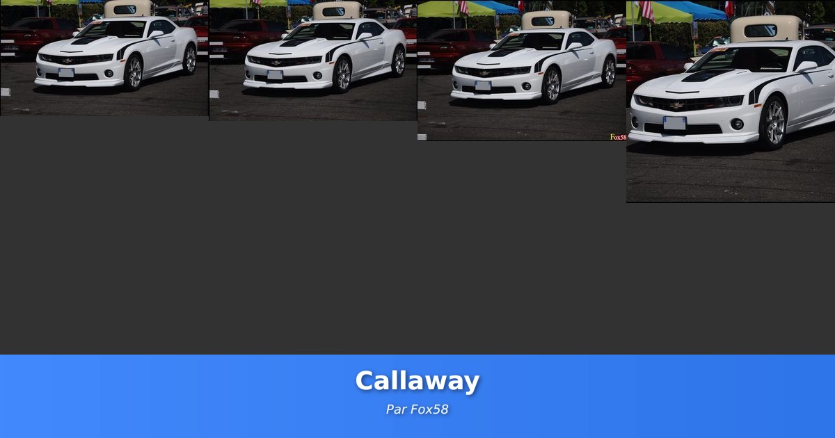 Callaway - Galerie de Fox58