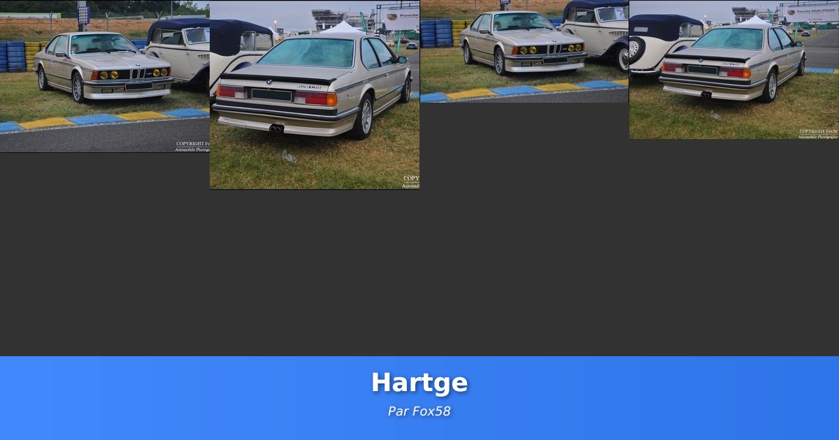 Hartge - Galerie de Fox58