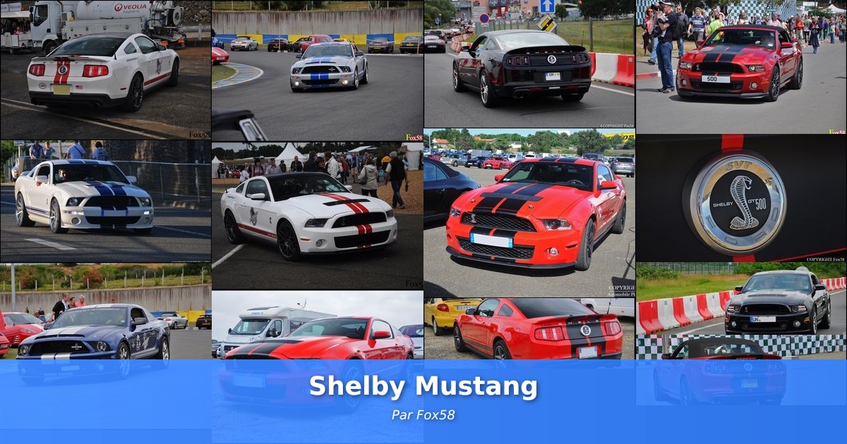 Shelby Mustang - Galerie de Fox58