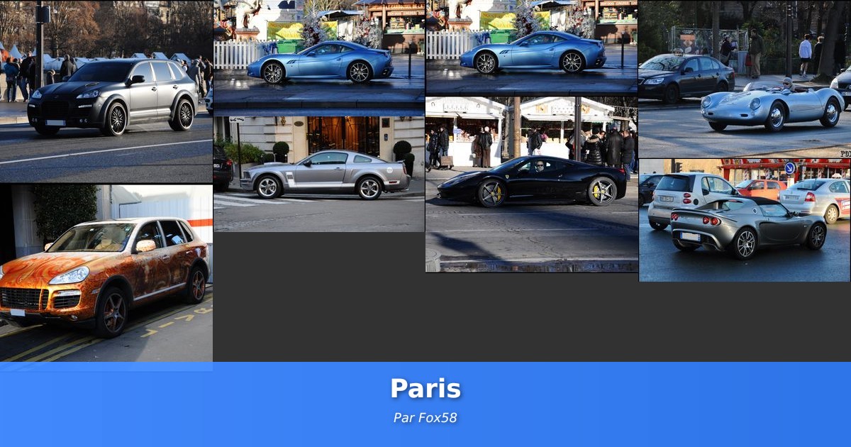 Paris - Galerie de Fox58