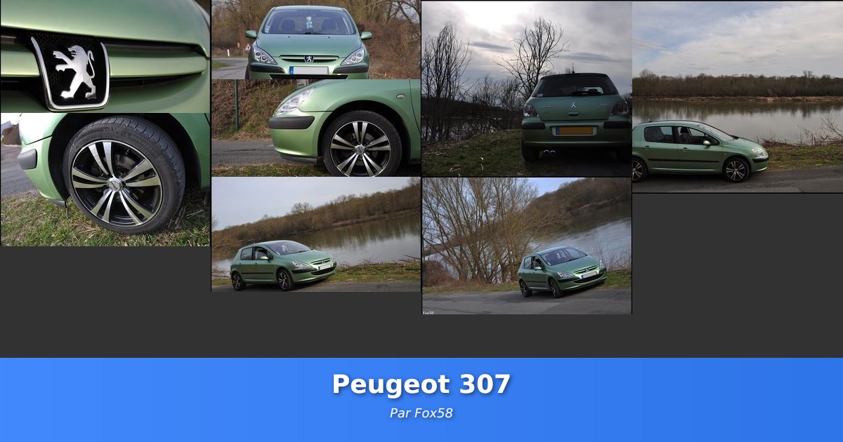 Peugeot 307 - Galerie de Fox58