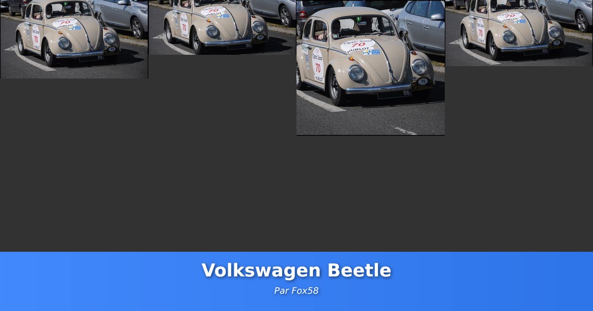 Volkswagen Beetle - Galerie de Fox58