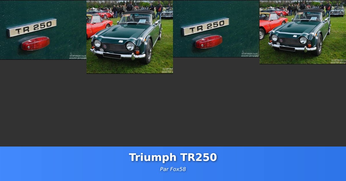 Triumph TR250 - Galerie de Fox58
