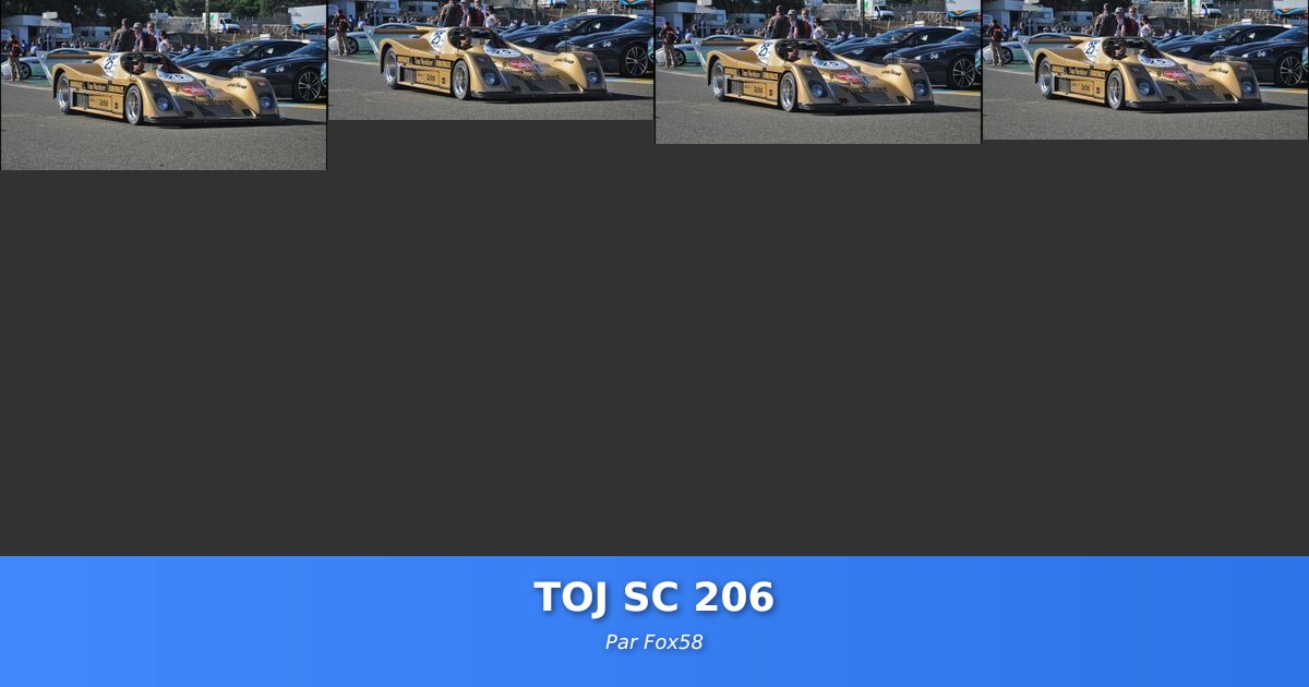 TOJ SC 206 - Galerie de Fox58