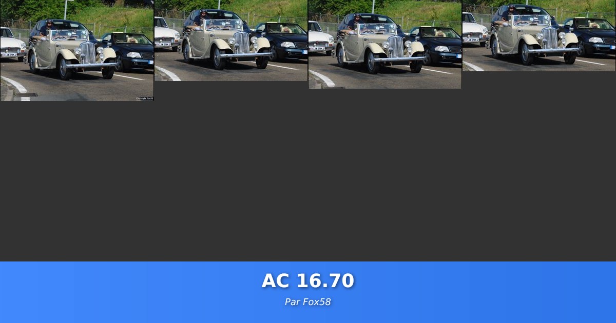 AC 16.70 - Galerie de Fox58