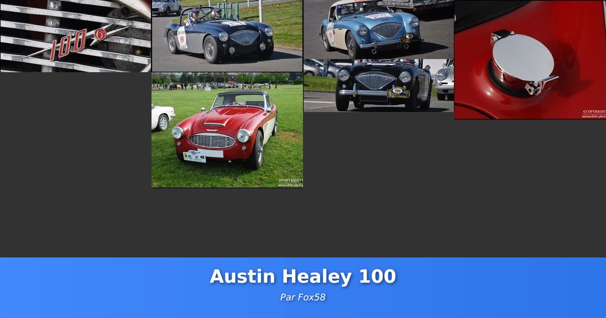 Austin Healey 100 - Galerie de Fox58