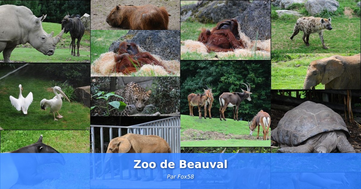Zoo de Beauval - Galerie de Fox58