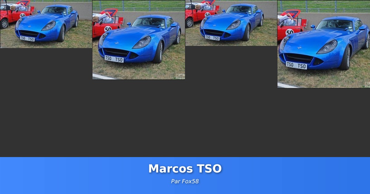 Marcos TSO - Galerie de Fox58