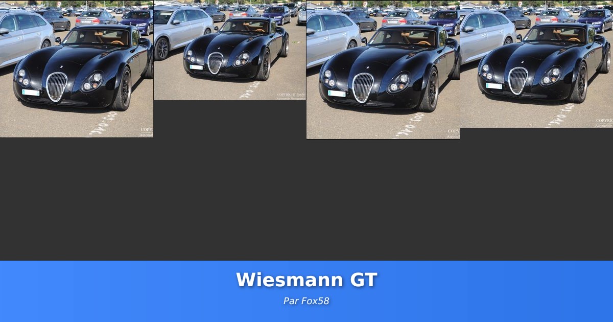 Wiesmann GT - Galerie de Fox58