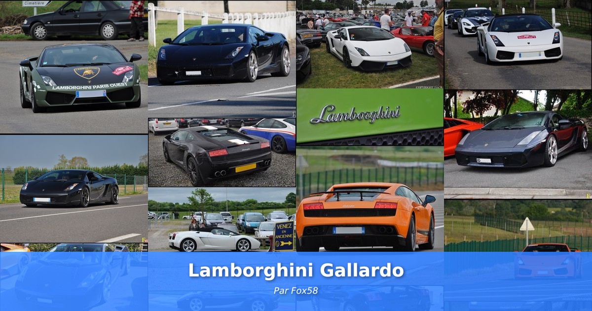 Lamborghini Gallardo - Galerie de Fox58