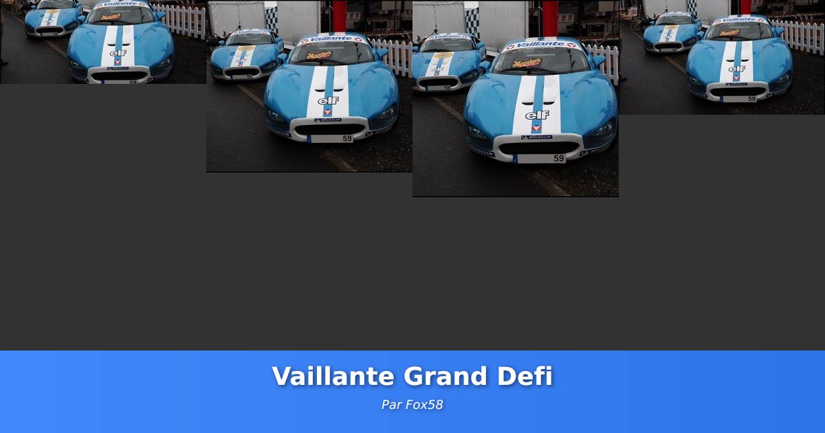 Vaillante Grand Defi - Galerie de Fox58