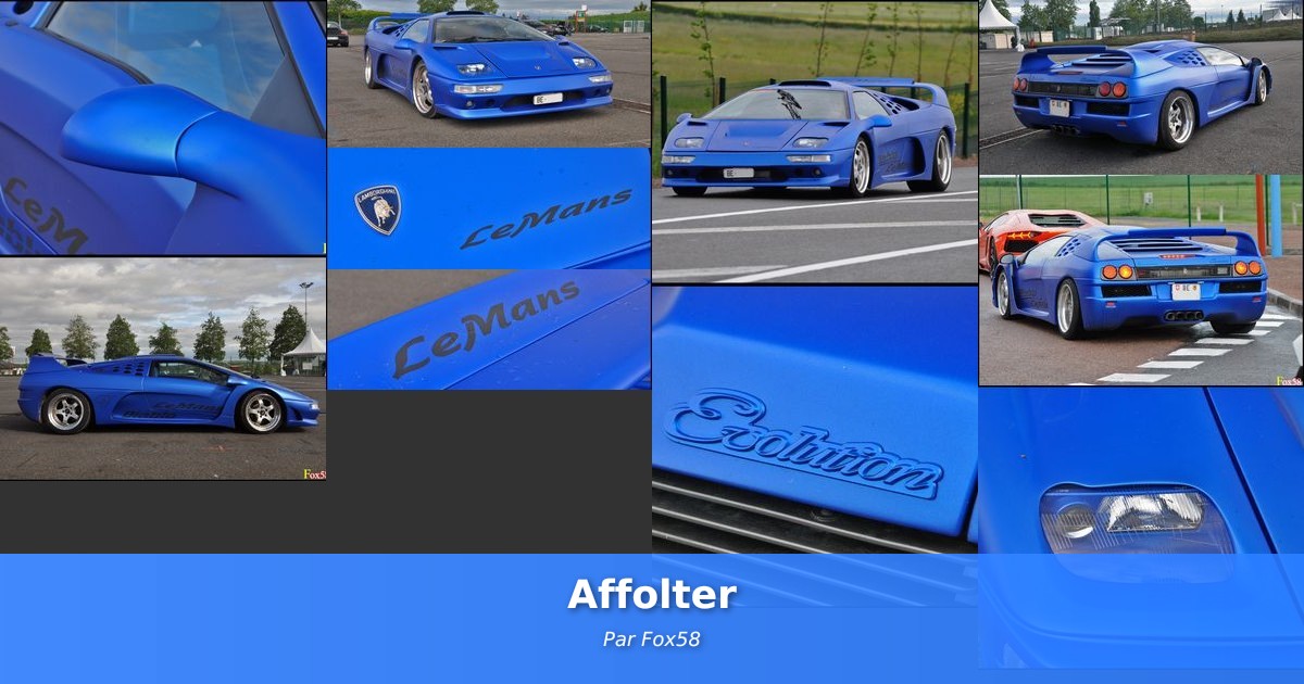 Affolter - Galerie de Fox58