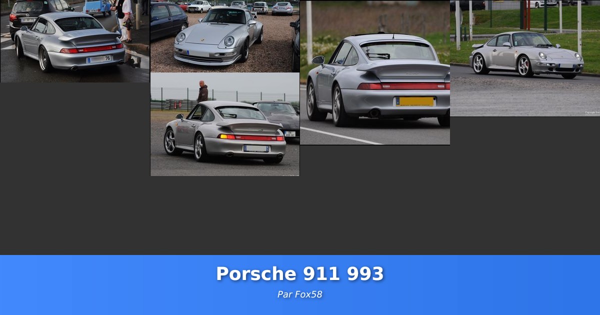 Porsche 911 993 - Galerie de Fox58
