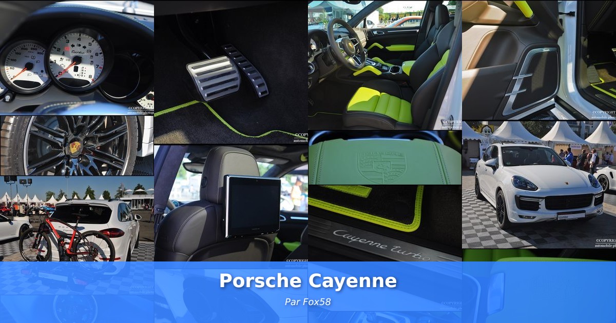 Porsche Cayenne - Galerie de Fox58