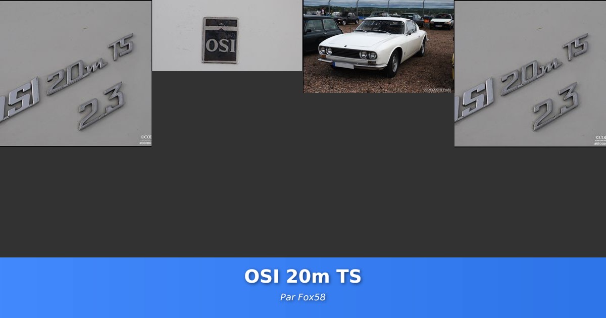 OSI 20m TS - Galerie de Fox58