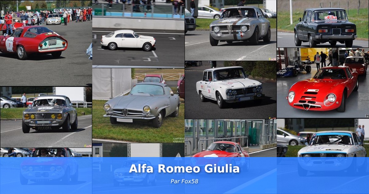 Alfa Romeo Giulia - Galerie de Fox58