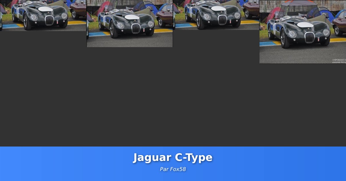 Jaguar C-Type - Galerie de Fox58