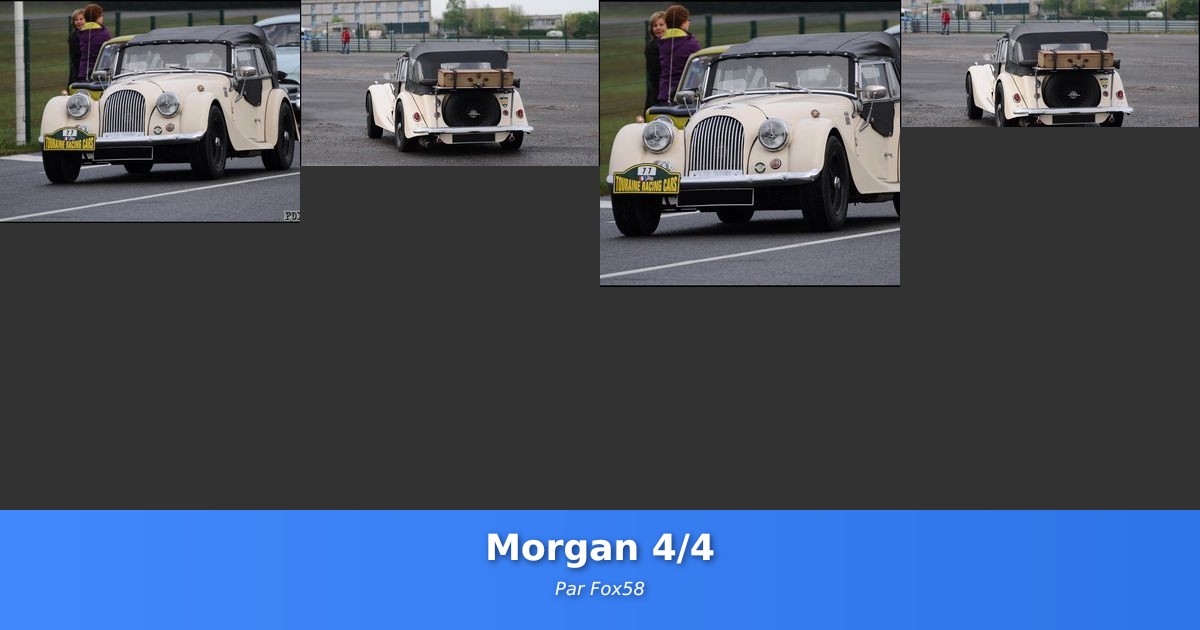 Morgan 4/4 - Galerie de Fox58