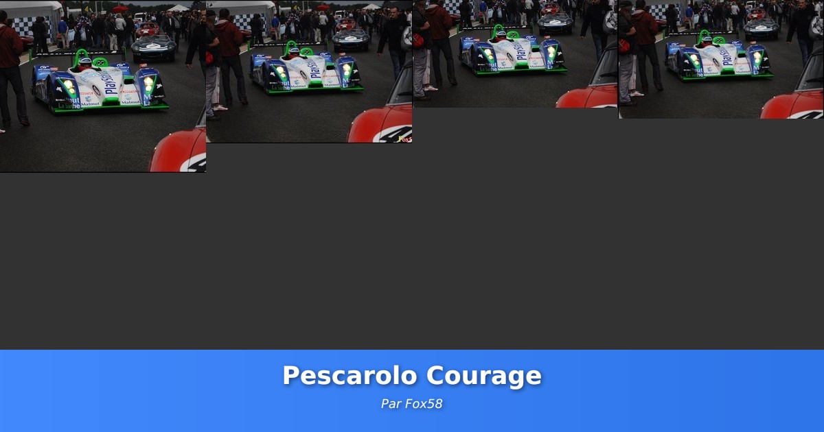 Pescarolo Courage - Galerie de Fox58