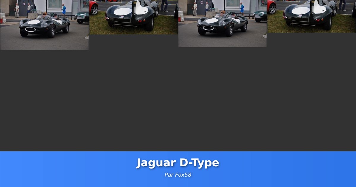 Jaguar D-Type - Galerie de Fox58