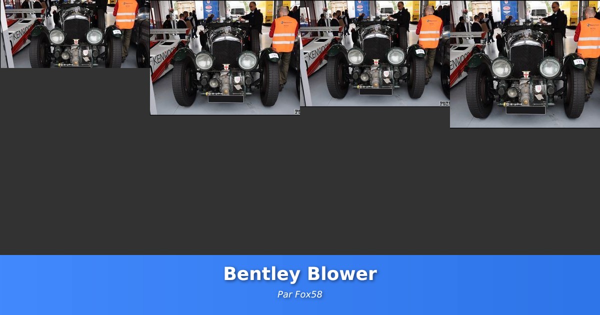 Bentley Blower - Galerie de Fox58