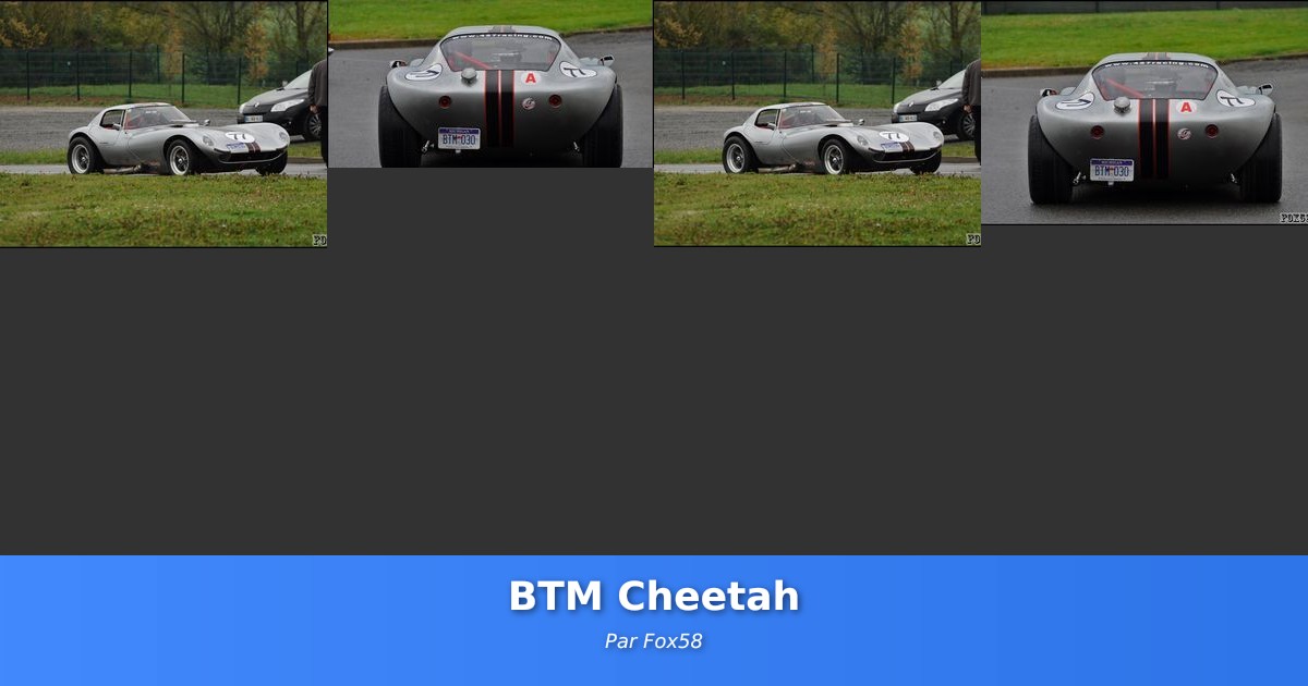 BTM Cheetah - Galerie de Fox58