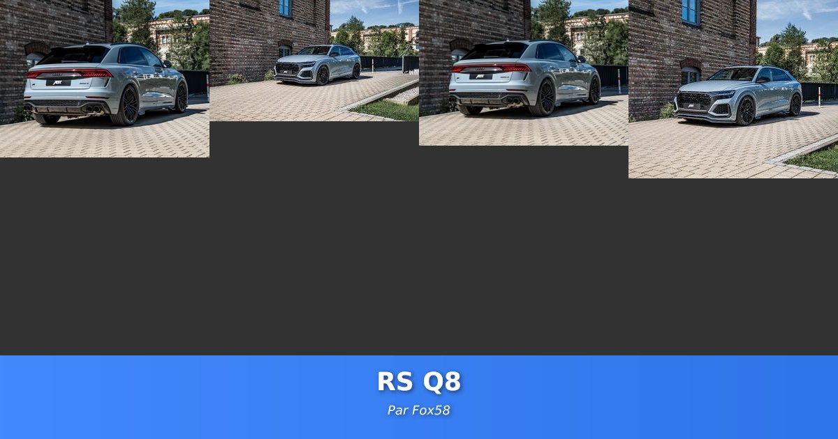 RS Q8 - Galerie de Fox58