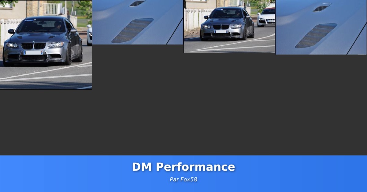 DM Performance - Galerie de Fox58