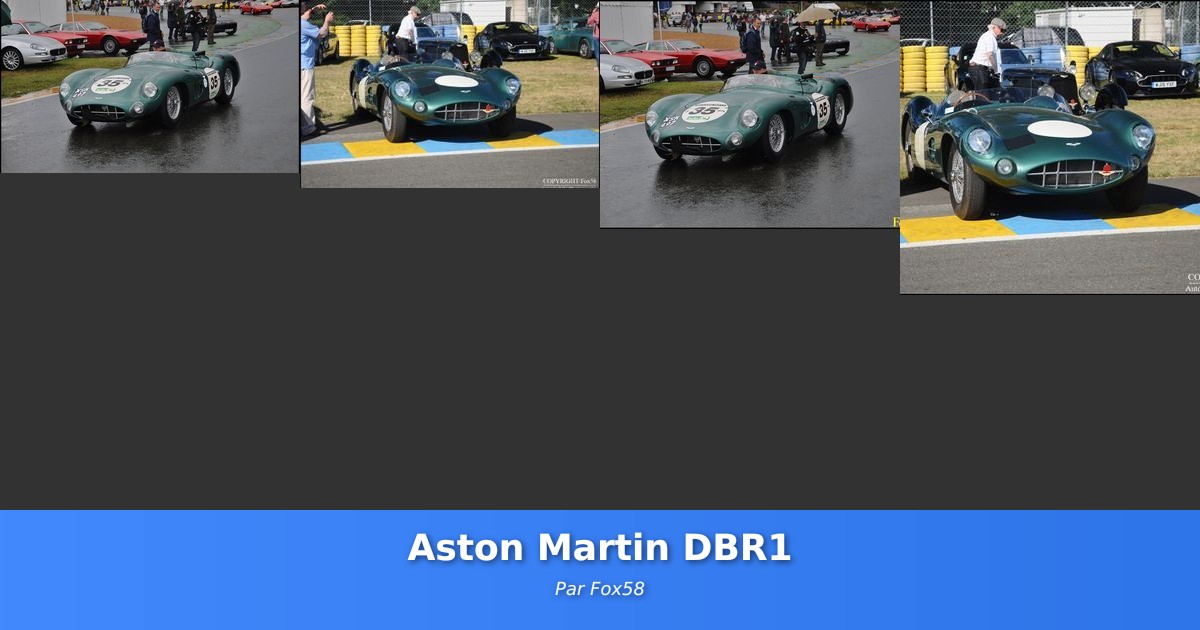 Aston Martin DBR1 - Galerie de Fox58
