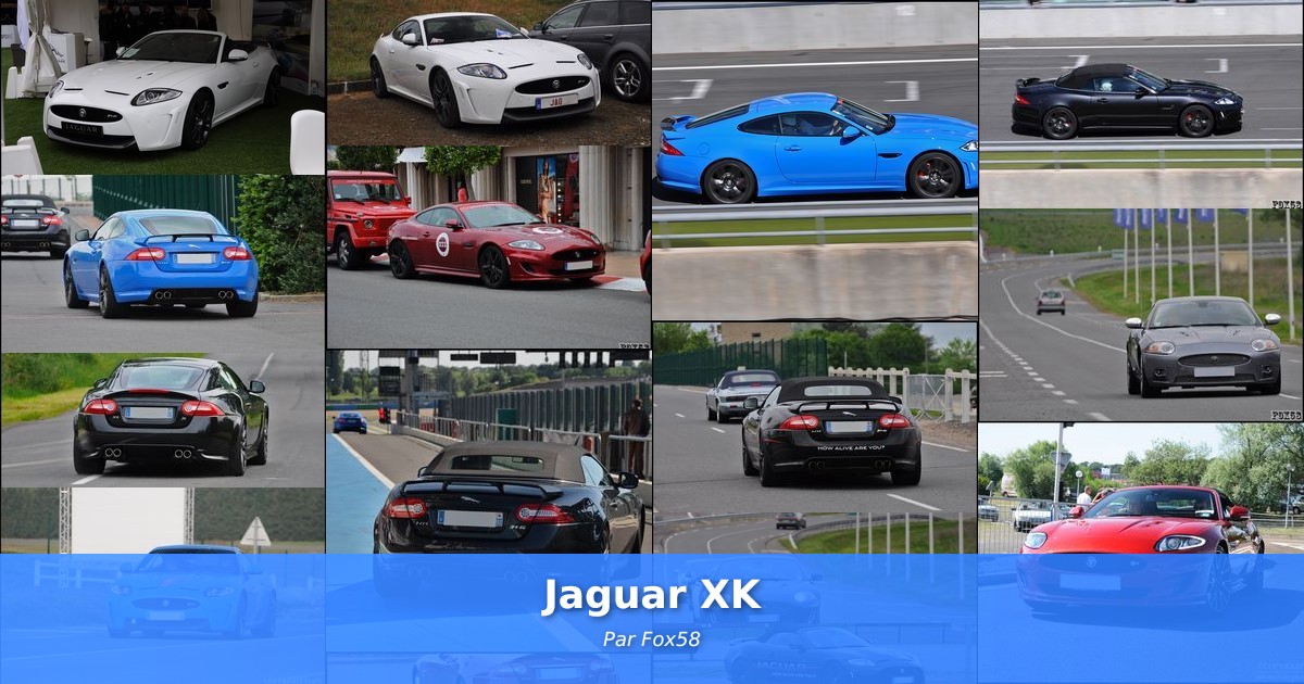 Jaguar XK - Galerie de Fox58